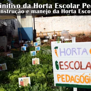 Imagem de capa para o Curso online Construção e Manejo da Horta Escolar.