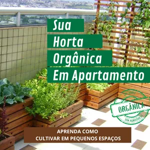 Imagem do curso SUA HORTA ORGÂNICA EM APARTAMENTO