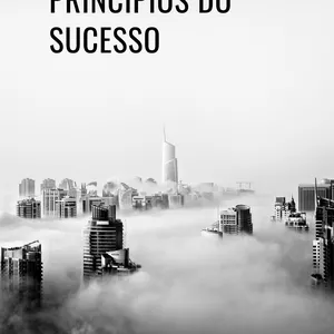 Imagem de capa para o Ebook Princípios do Sucesso 