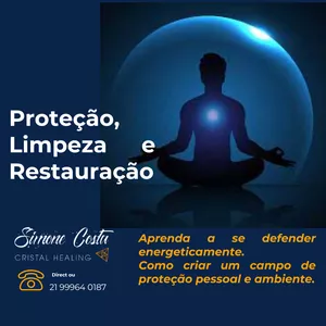 Imagem de capa para o Curso online Curso de limpeza, proteção e restauração