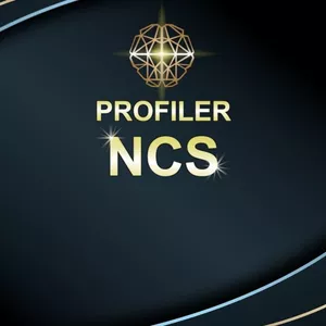 Imagem de capa para o Curso online PROFILER NCS