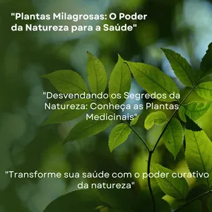 Imagem de capa para o Ebook "Plantas Milagrosas: O Poder da Natureza para a Saúde"