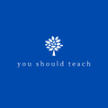 You Should Teach Academy logo