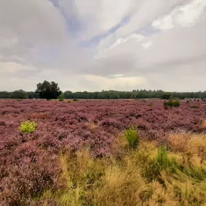 Imagen de portada para Curso online 7 Dias