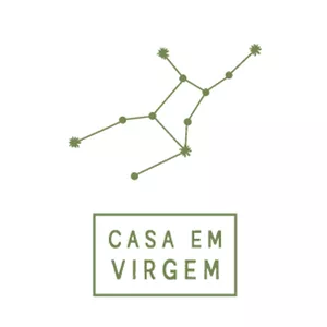 Imagem de capa para o Curso online Casa em Virgem