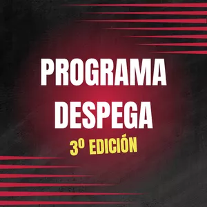 Imagen de portada para Curso online Programa Despega 3º Edición