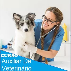 Imagem de Curso Auxiliar Veterinário  criado por vanessa m na hotmart