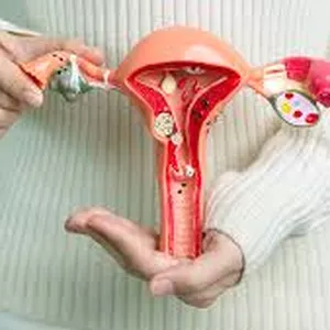 Imagem de capa para o Curso online Menopausa sem dor