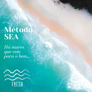 Imagem de capa para o Curso online METODO SEA