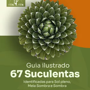 Imagem de capa para o Ebook Guia ilustrado: 67 suculentas identificadas para sol pleno, sombra e meia-sombra