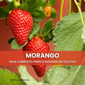 Imagem de capa para o Ebook Morangos Perfeitos: O Guia Definitivo para o Cultivo de Frutas Incrivelmente Deliciosas