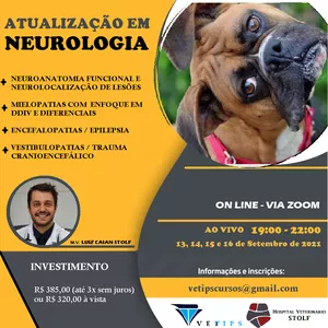 Imagem do curso CURSO DE ATUALIZAÇÃO EM NEUROLOGIA