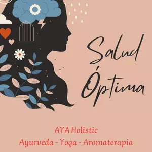 Imagen de portada para Evento online Taller de salud óptima.