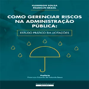 Imagem de capa para o Ebook Como gerenciar riscos na administração publica