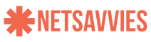 Netsavvies Media School