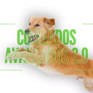 Curso (13º CURSO ONLINE) MÓDULO COMANDOS AVANÇADOS 2.0