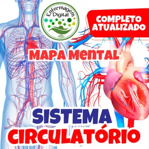 Imagem de capa para o Ebook Mapa Mental - Sistema Circulatório - Enfermagem Digital