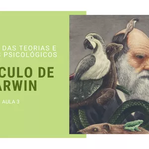 Imagem de capa para o Ebook O Século de Darwin