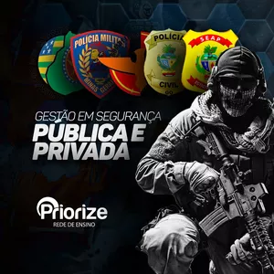 Imagem de capa para o Curso online Gestão em Segurança Pública e Privada