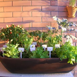 Imagem de capa para o Ebook Benefícios de uma Horta Natural em Casa