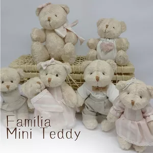Imagem de capa para o Curso online Familia Mini Teddy