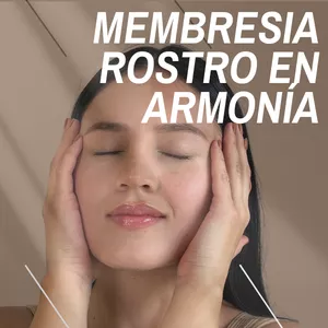 Imagen de portada para Curso online MEMBRESÍA: ROSTRO EN ARMONÍA