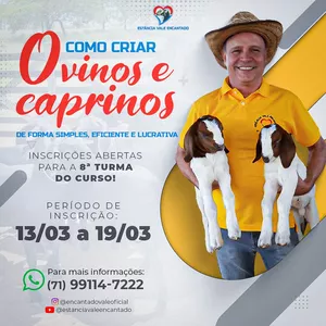 Imagem do curso Curso Completo - COMO CRIAR OVINOS E CAPRINOS DE FORMA SIMPLES, EFICIENTE E LUCRATIVA.