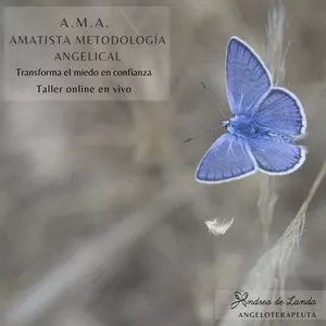 Imagen de portada para Curso online A.M.A. Metodología Angelical Amatista para eliminar el miedo al futuro