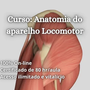 Imagem do curso Curso de Anatomia do aparelho locomotor