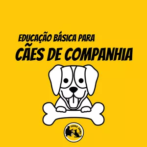 Imagem do curso Educação Básica de cães