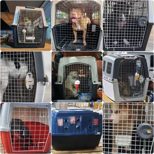 Imagem de Pet Viajante criado por Pedro León na hotmart