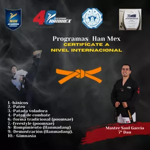 Imagen de portada para Curso online Taekwondo Han Mex Cinta Naranja paso a paso