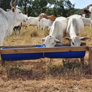 Imagem de capa para o Curso online CALCULADORA DE SUPLEMENTAÇÃO - planilha