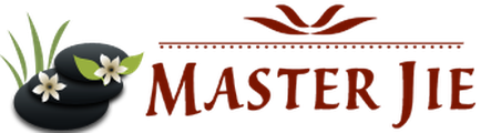 Master Jie Wellness Solutions logo