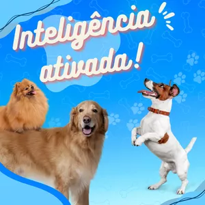 Imagem de capa para o Ebook Guia prático de adestramento para seu melhor amigo cão.
