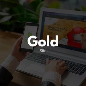 Imagem de capa para o Serviço online Gold: Site Institucional