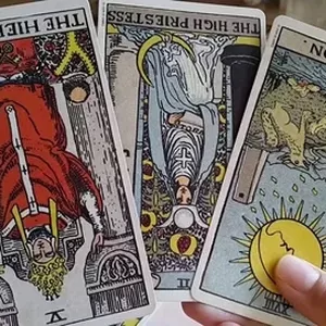 Image de couverture pour le Cours en ligne Bien Jouer Au Tarot ♠️♥️♦️♣️