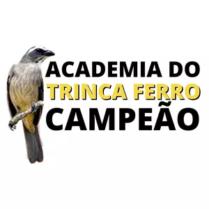 Curso Trinca Ferro Campeão