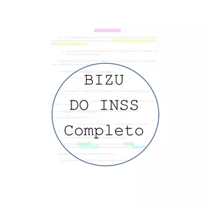Imagem de capa para o Ebook Bizu do INSS - Material completo