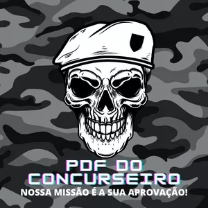 Imagem de capa para o Ebook pdf do concurseiro 