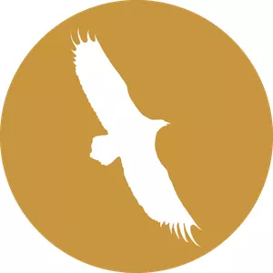 Imagen de portada para Curso online Esenciales de la Medicina Energética