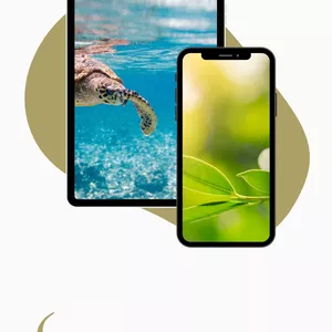 Imagem do curso Curso básico de direito ambiental 