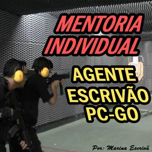 Imagem de capa para o Serviço online Mentoria individual para o Concurso PCGO - OFERTA LANÇAMENTO