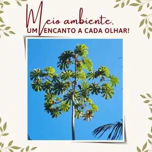 Imagem de capa para o Evento online Meio Ambiente - Um encanto a cada olhar!