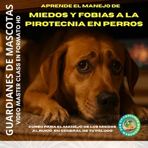 Imagen de portada para Curso online Manejo de Miedos y Fobias a la Pirotecnia en Perros