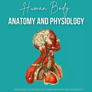 Cover image for Ebook Anatomy And Physiology