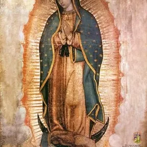 Imagen de portada para Ebook 46 Rosarios Guadalupanos