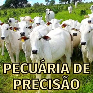 Imagem de capa para o Curso online PECUÁRIA DE PRECISÃO