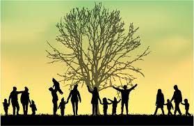 Curso Curso de Constelação Familiar Completo