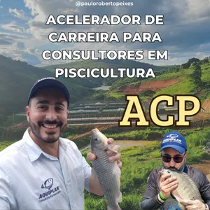 Imagem de capa para o Curso online ACP - Acelerador Consultor Piscicultura